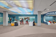 Center for Global Business Fund